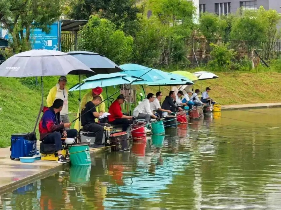 OUZmt, 事体系, 活力